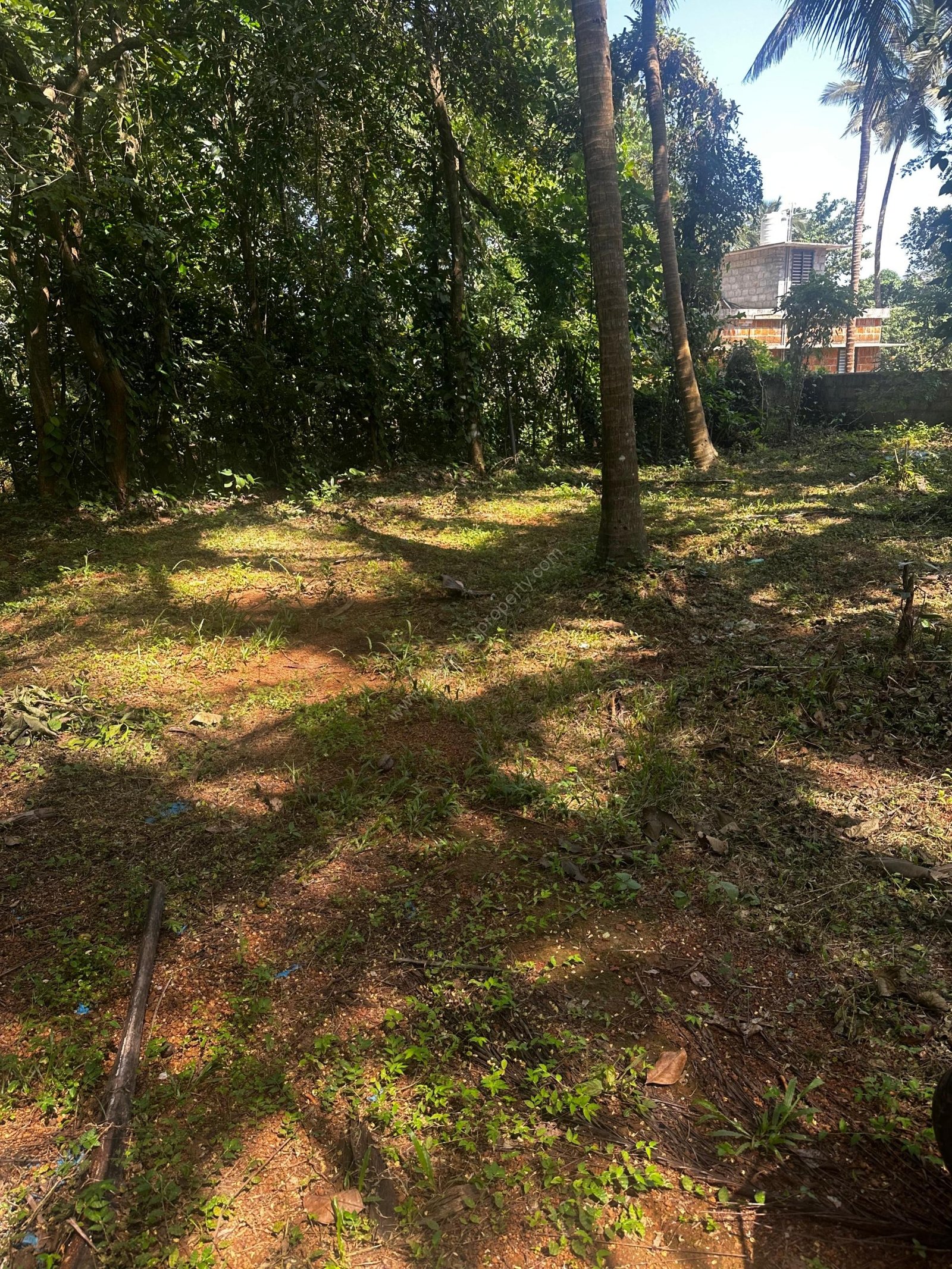 WhatsApp Image 2025-09-24 at 19.41.13_d86efb73