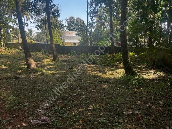 Land for Sale in Kothakurssi Ottapalam