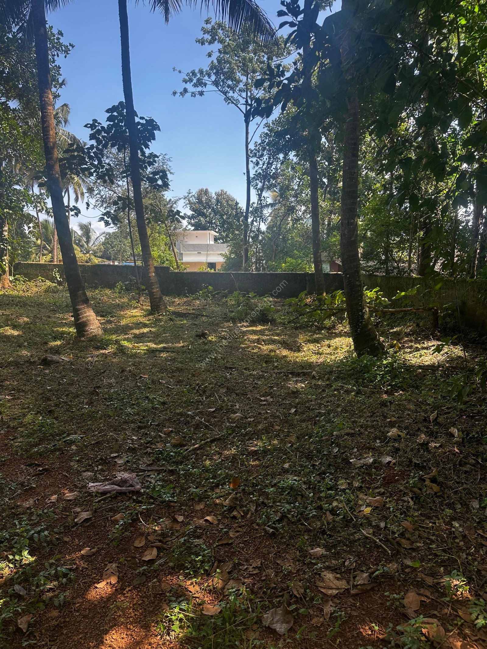 WhatsApp Image 2025-09-24 at 19.41.26_daa0ffb9 Land for Sale in Kothakurssi Ottapalam