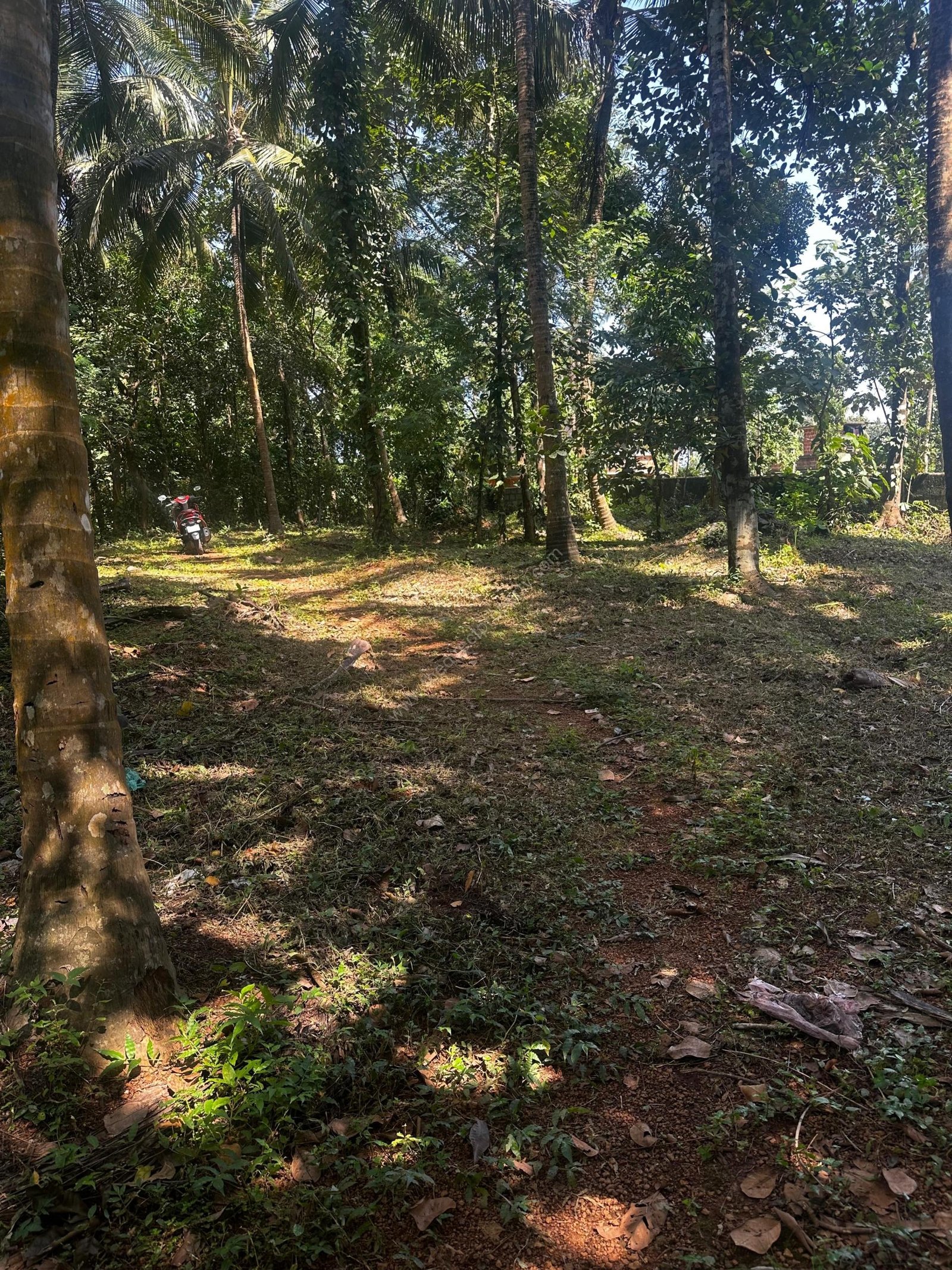 WhatsApp Image 2025-09-24 at 19.41.27_ea0934b4