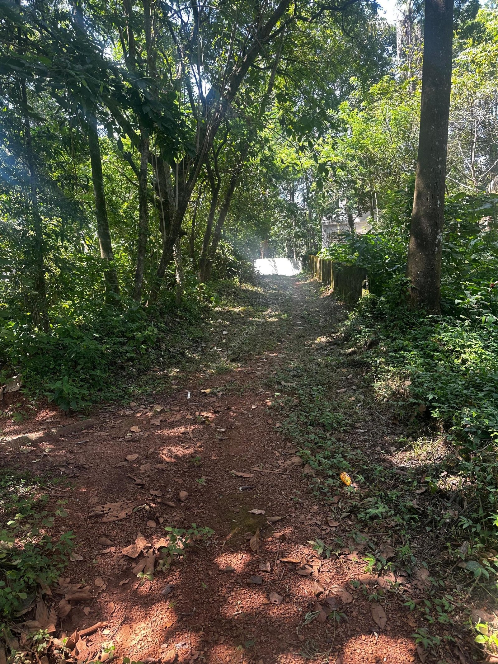 WhatsApp Image 2025-09-24 at 19.42.39_e7002f42