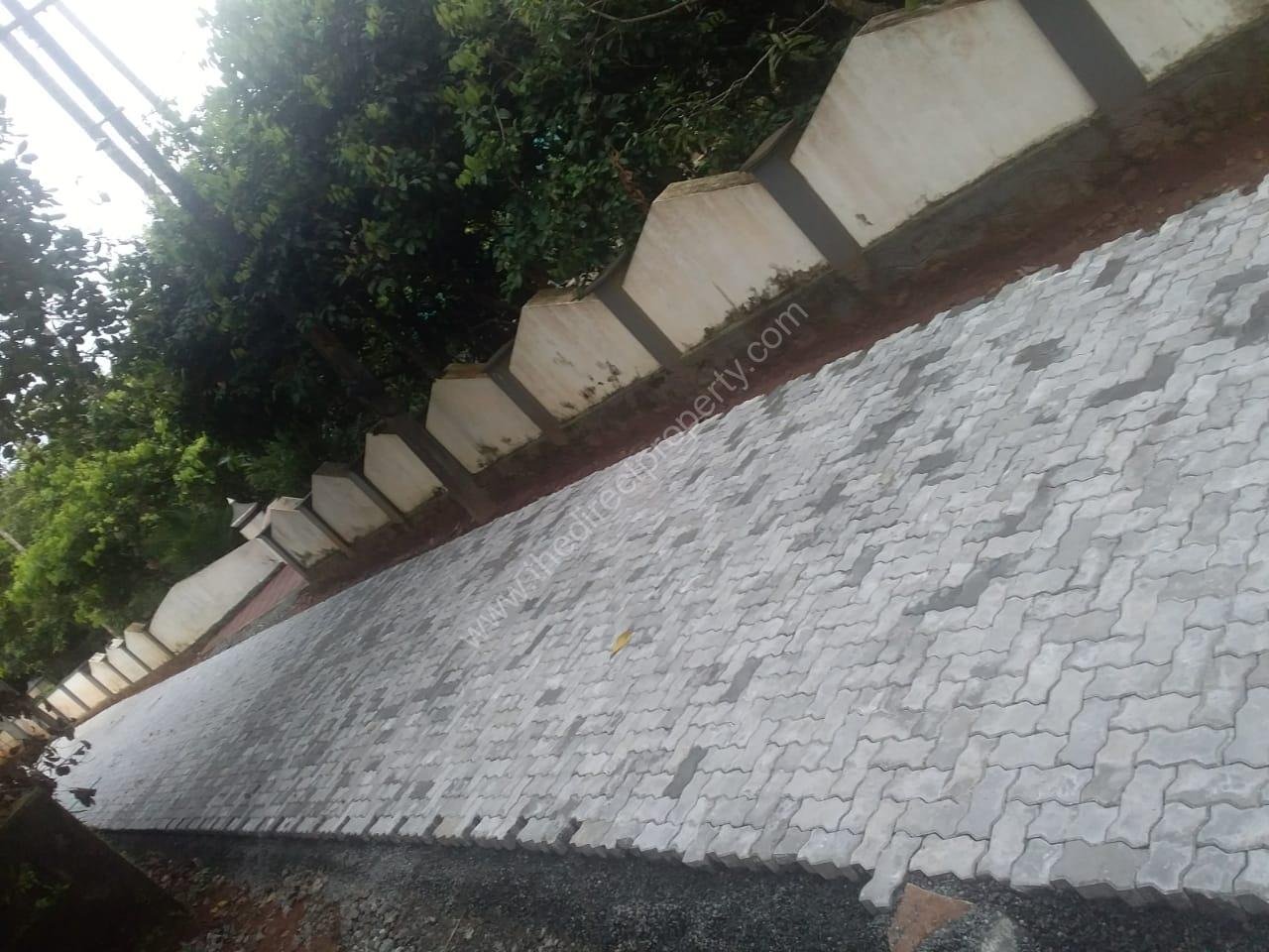 WhatsApp Image 2025-09-26 at 6.33.03 PM (1)