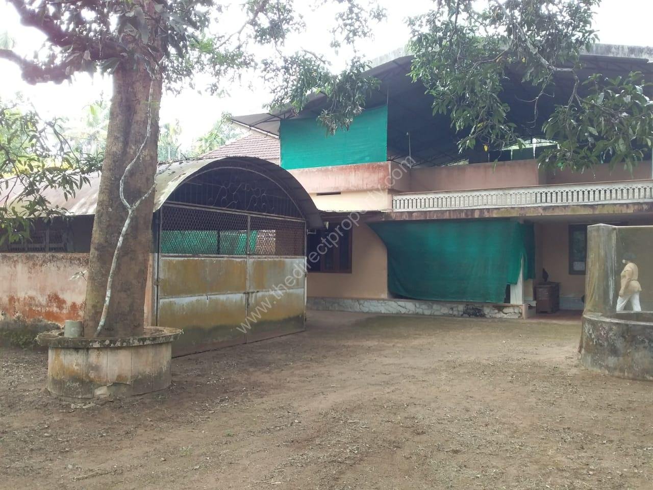 WhatsApp Image 2025-09-26 at 6.33.04 PM (1)