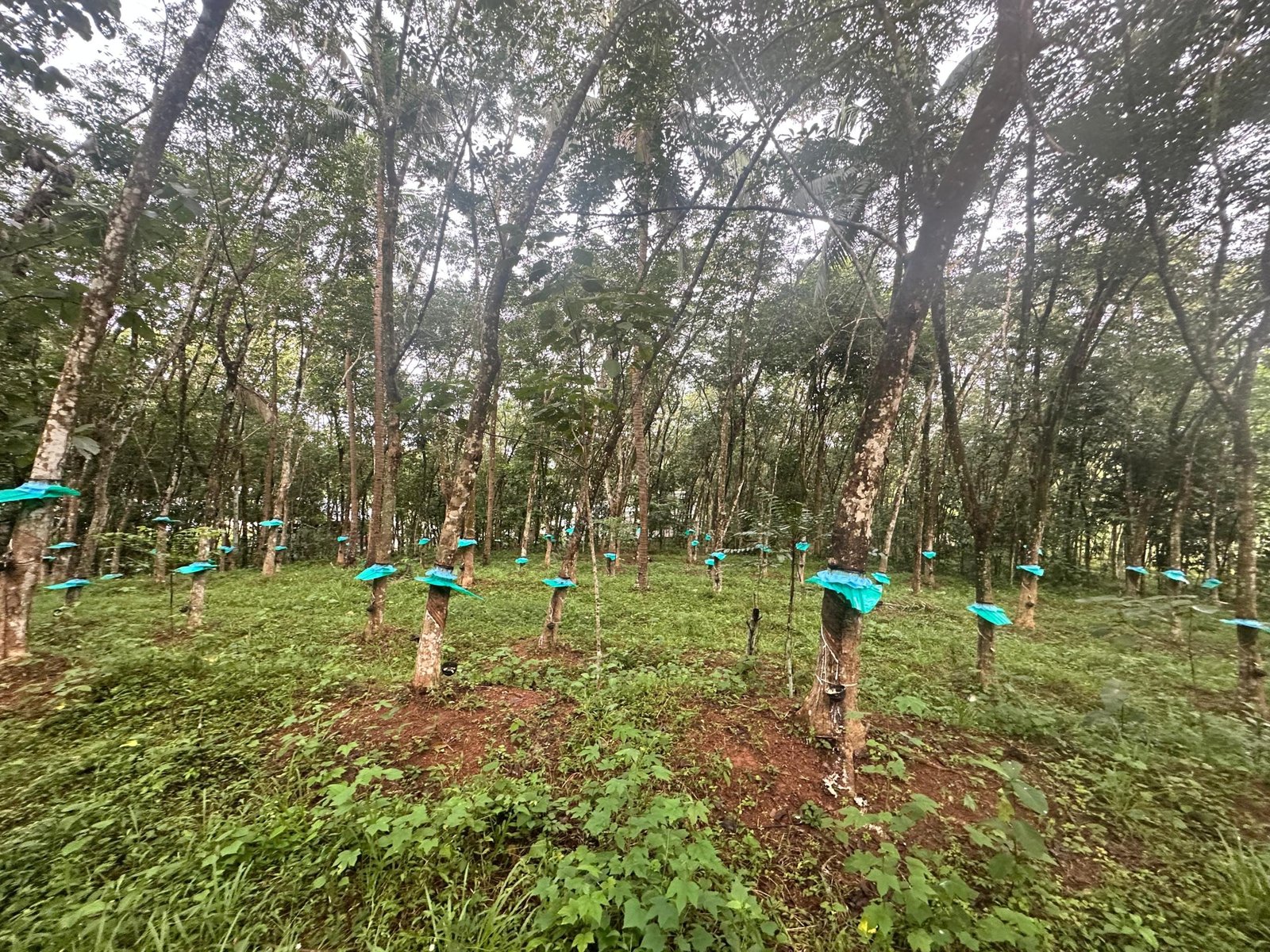 cd4ce316-66c0-4265-9602-f2142357bc81