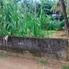 Residential Land for sale in Viyyur near highway Thrissur
