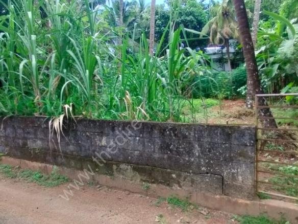 Residential Land for sale in Viyyur near highway Thrissur