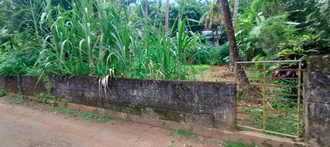Residential Land for sale in Viyyur near highway Thrissur