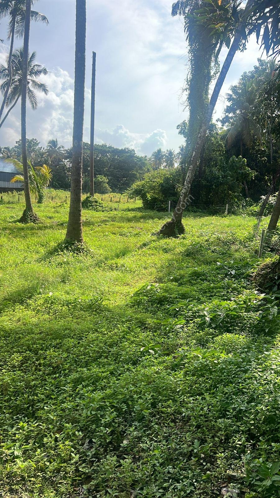 Land for sale in Cheroor