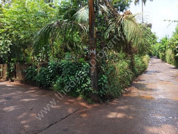 Plot For Sale in Chala