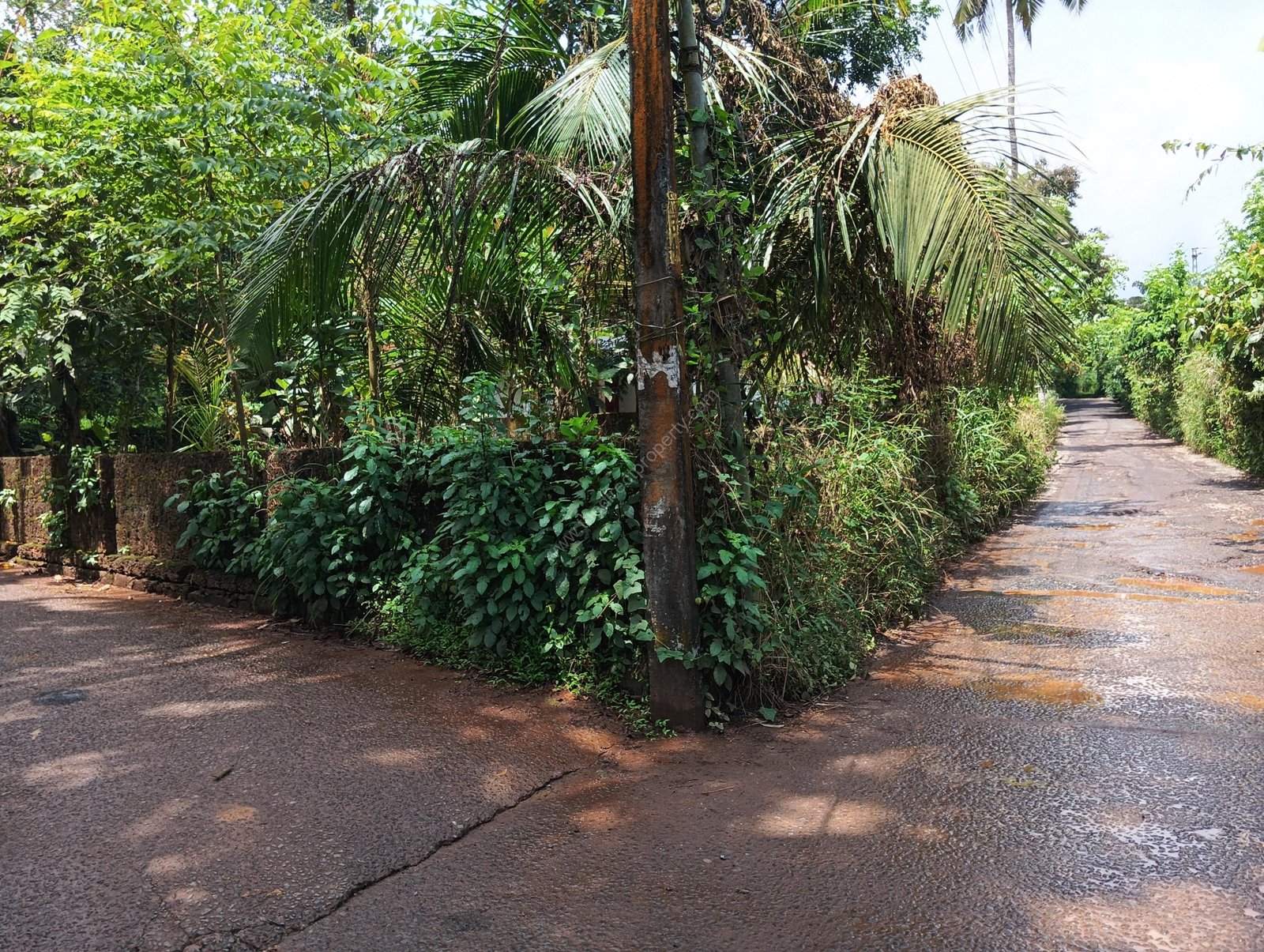 Plot For Sale in Chala