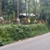 Land for sale in Mundakayam