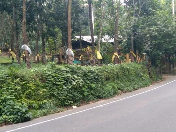 Land for sale in Mundakayam
