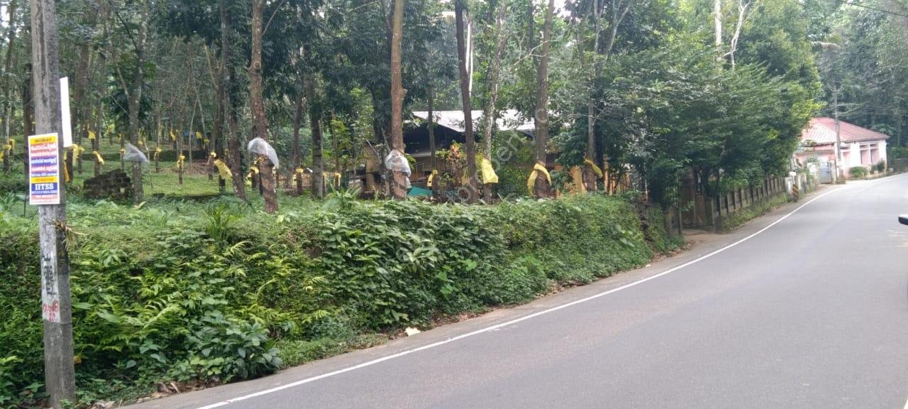 Land for sale in Mundakayam