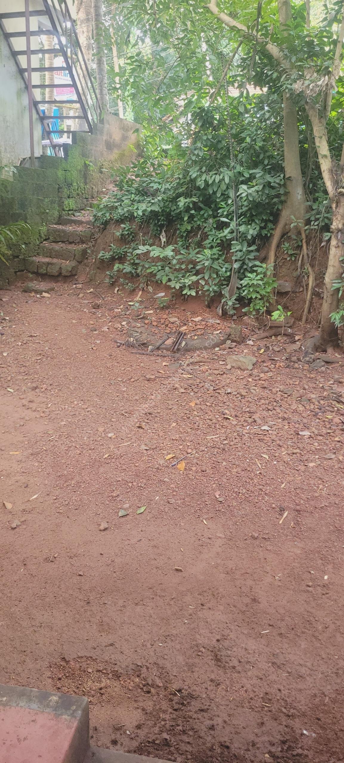 17614520560558556114213616942195