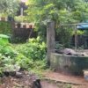Plot sale in Kozhikode