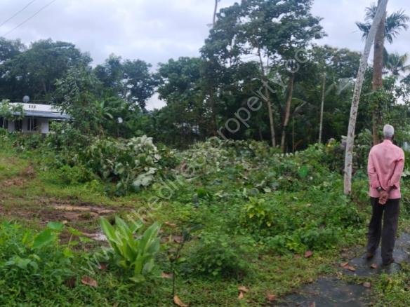 Residential Plot for Sale in Mazhavanoor Kochi