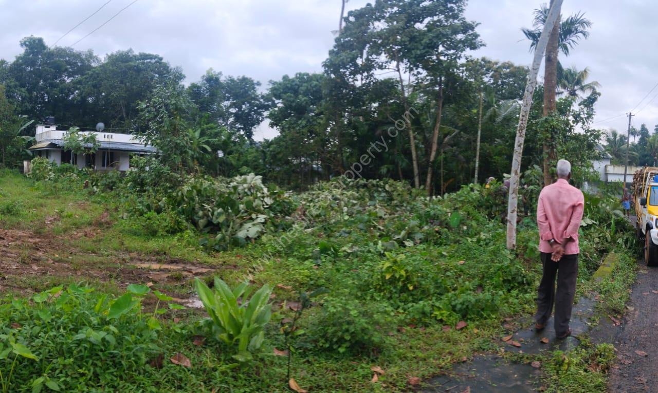 22 Residential Plot for Sale in Mazhavanoor Kochi