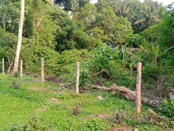 Plot for sale in Eraviperoor