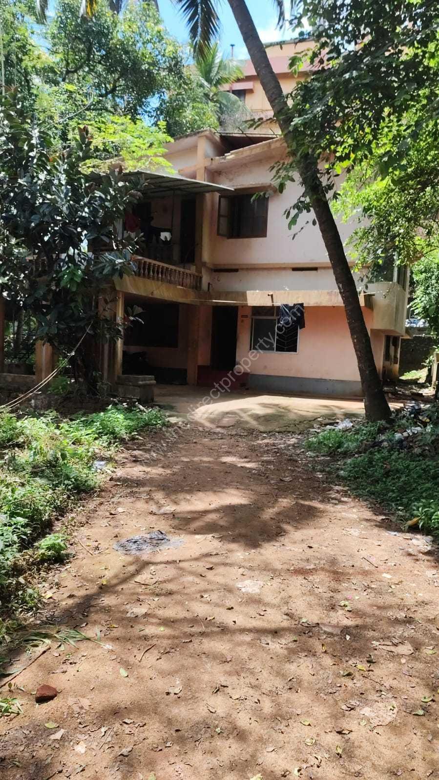 81739479_4_hatsAppImage20251009at11.53.19b40fc5c7