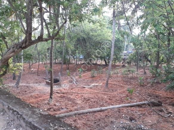 Land for sale in Perunguzhi