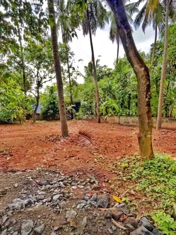 House plot for sale in mannuthy