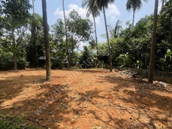 House plot for sale in mannuthy