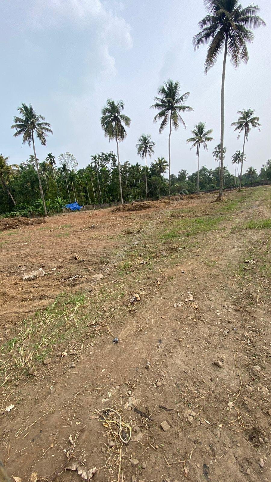 WhatsApp Image 2025-09-24 at 10.44.48 AM