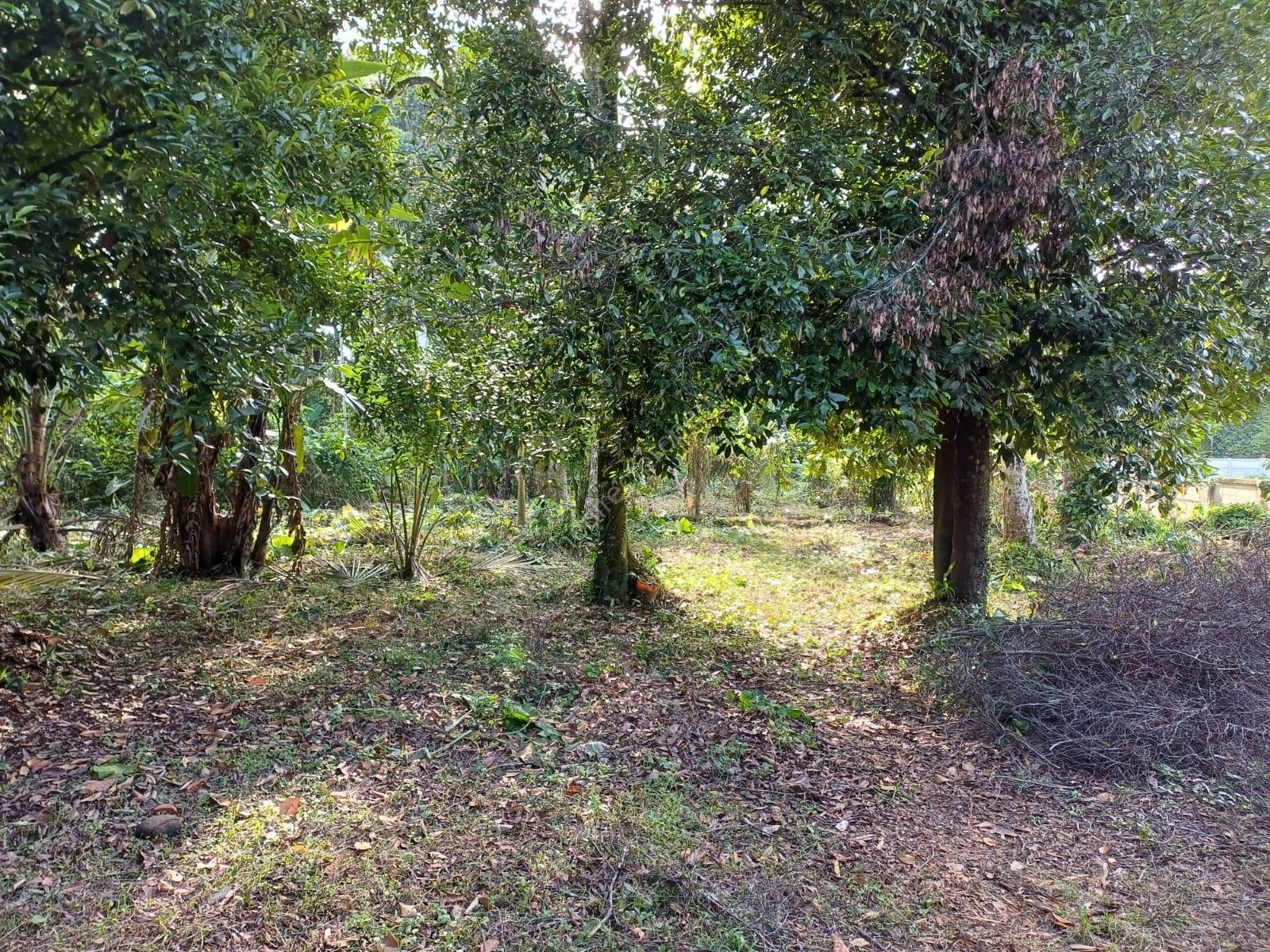 WhatsApp Image 2025-09-28 at 3.02.17 PM (1)