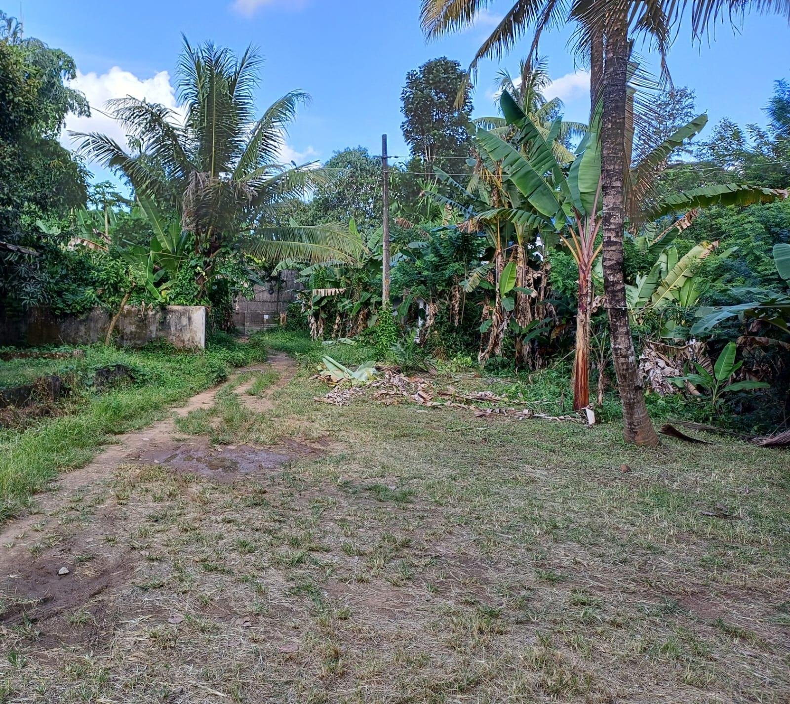 Residential land for Sale in Chengannur
