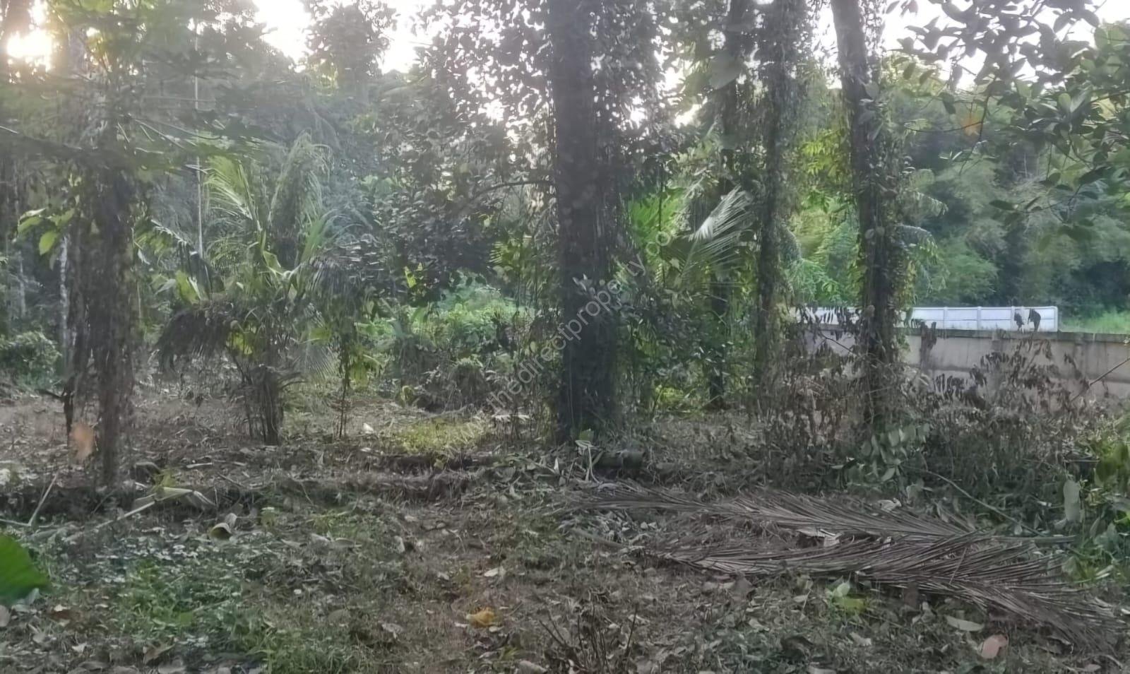 WhatsApp Image 2025-09-28 at 3.02.18 PM (1)