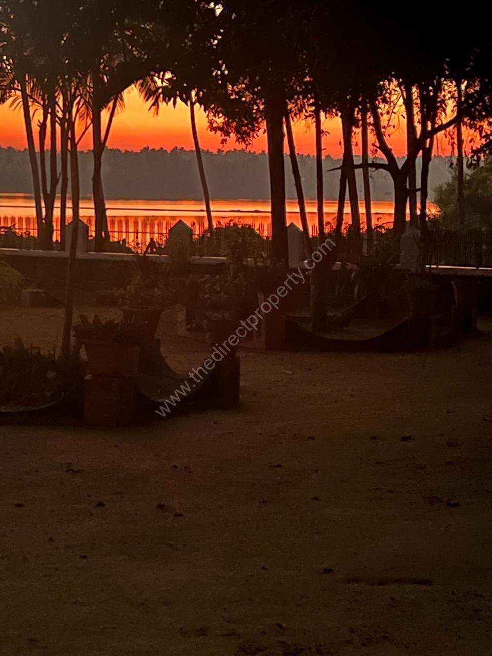 WhatsApp Image 2025-10-15 at 10.31.16 (1)