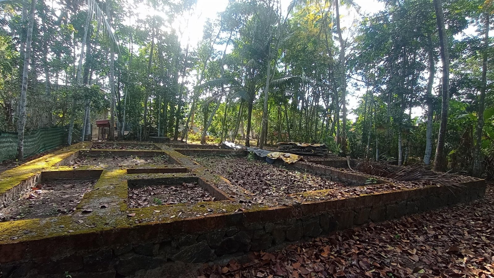 WhatsApp Image 2025-10-17 at 3.28.08 PM – Copy