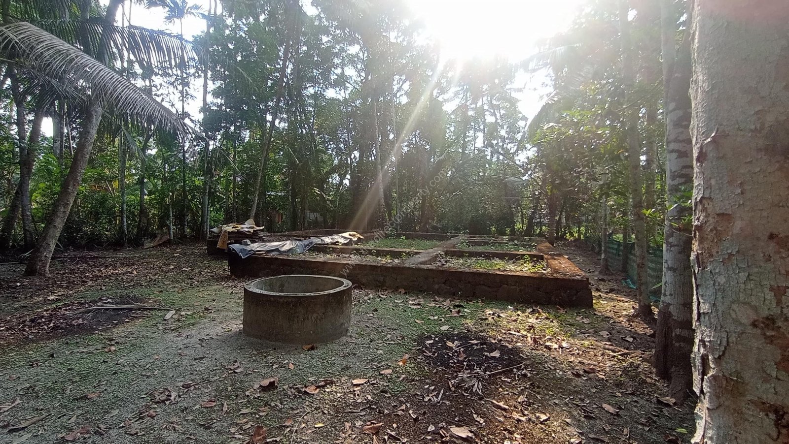 WhatsApp Image 2025-10-17 at 3.28.22 PM (1) – Copy