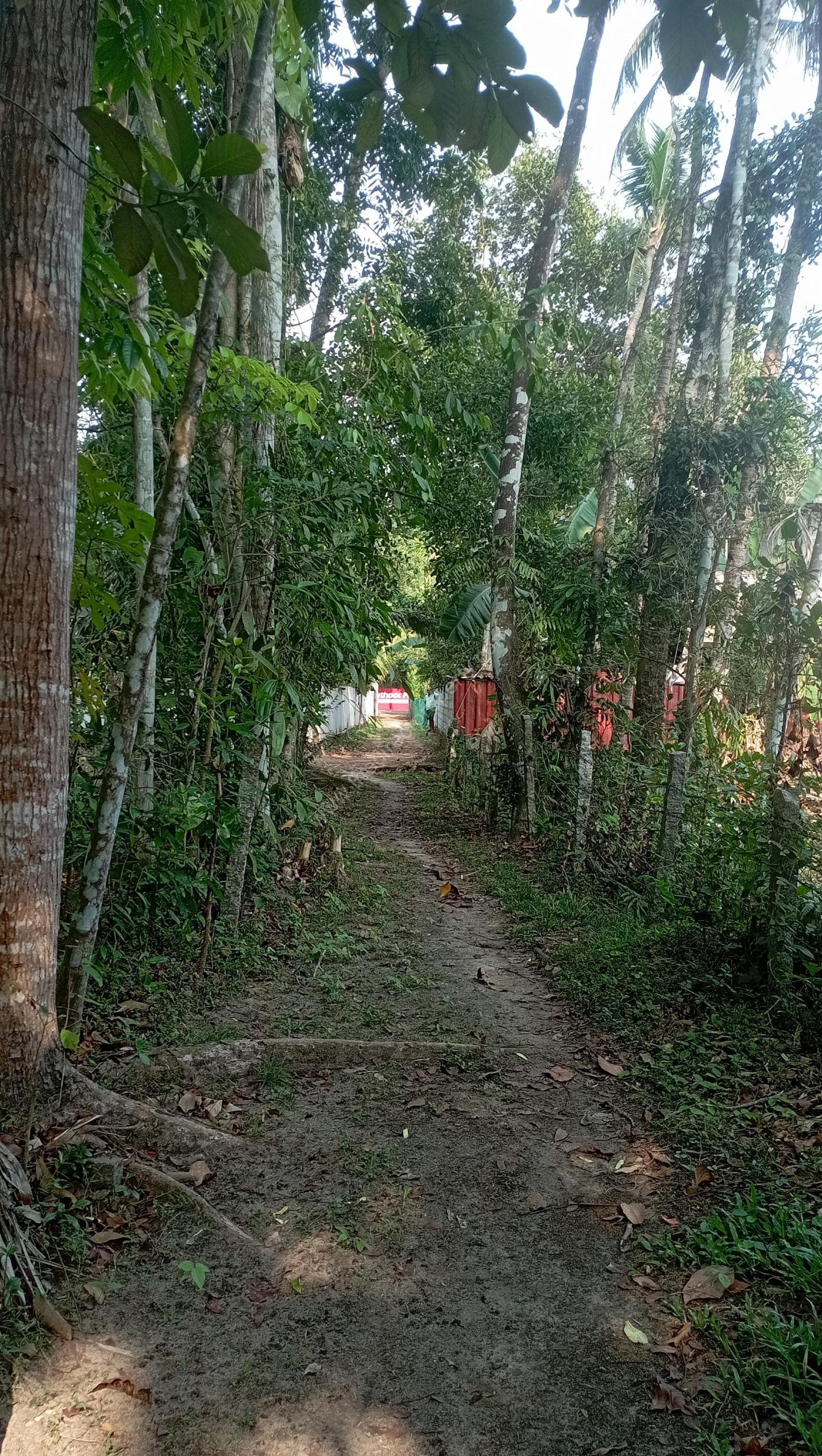 WhatsApp Image 2025-10-17 at 3.28.22 PM