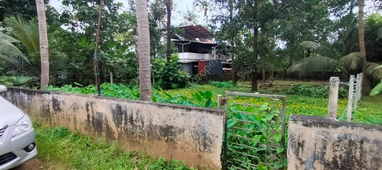 m2 Residential Land for sale in Mukkattukara Thrissur