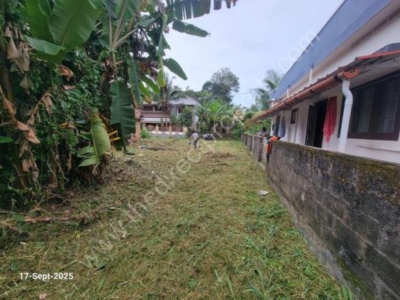 Land for Sale in Pathanamthitta