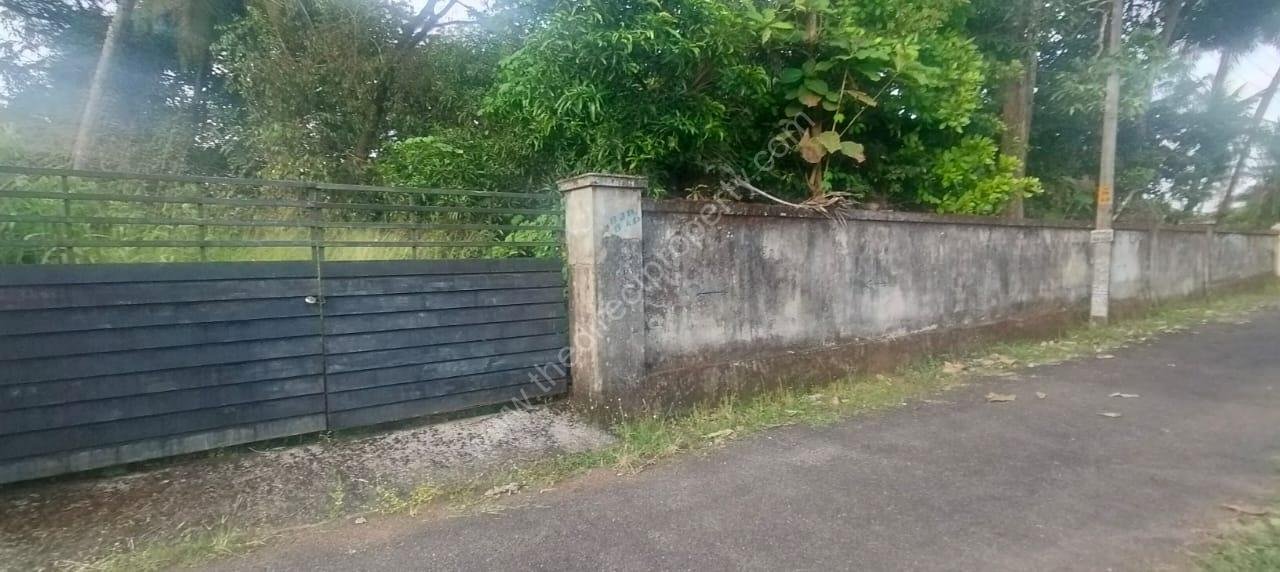 Land For sale in Chembukkavu