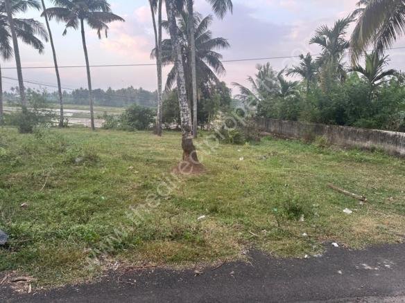 Plots for sale at Olari Chettupuzha Thrissur