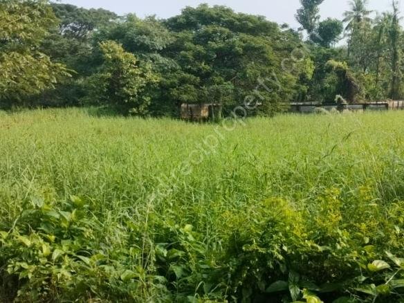 Land for sale in Chembukkavu Thrissur