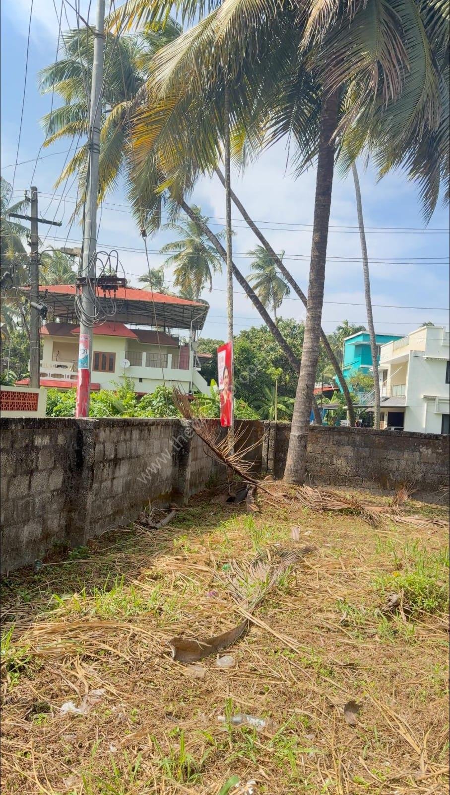 Land for sale near Kerala varma college Kanattukara