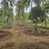 Land for sale in Kumarkom