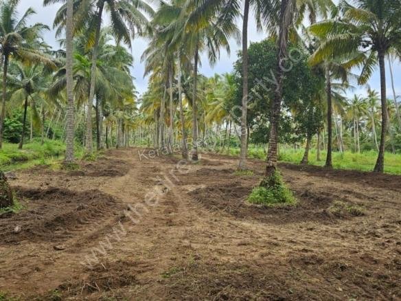 Land for sale in Kumarkom