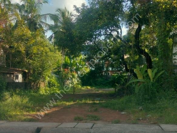 Land for sale in Chembukkavu Cherumukku