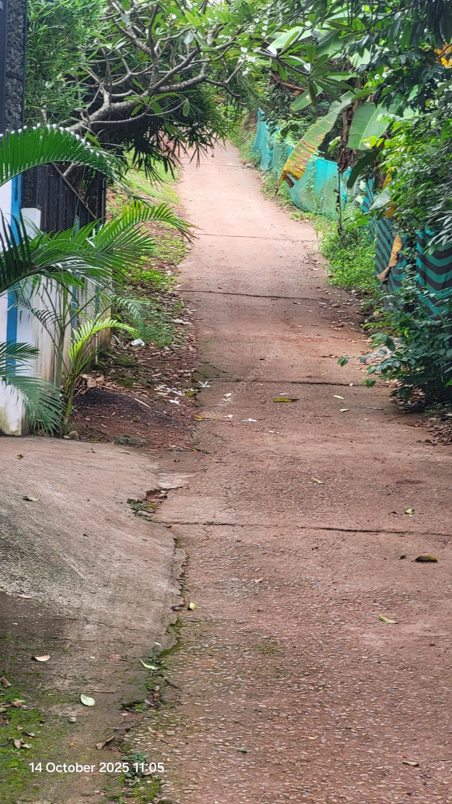 House Plot for sale in Kottiyam Kollam