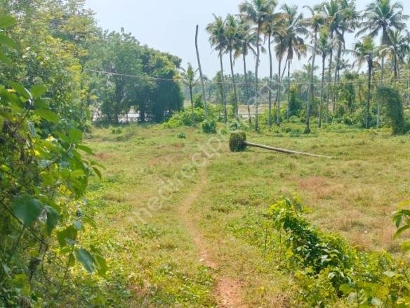 Land for sale in Kaiparamb Edakkalathur Thrissur