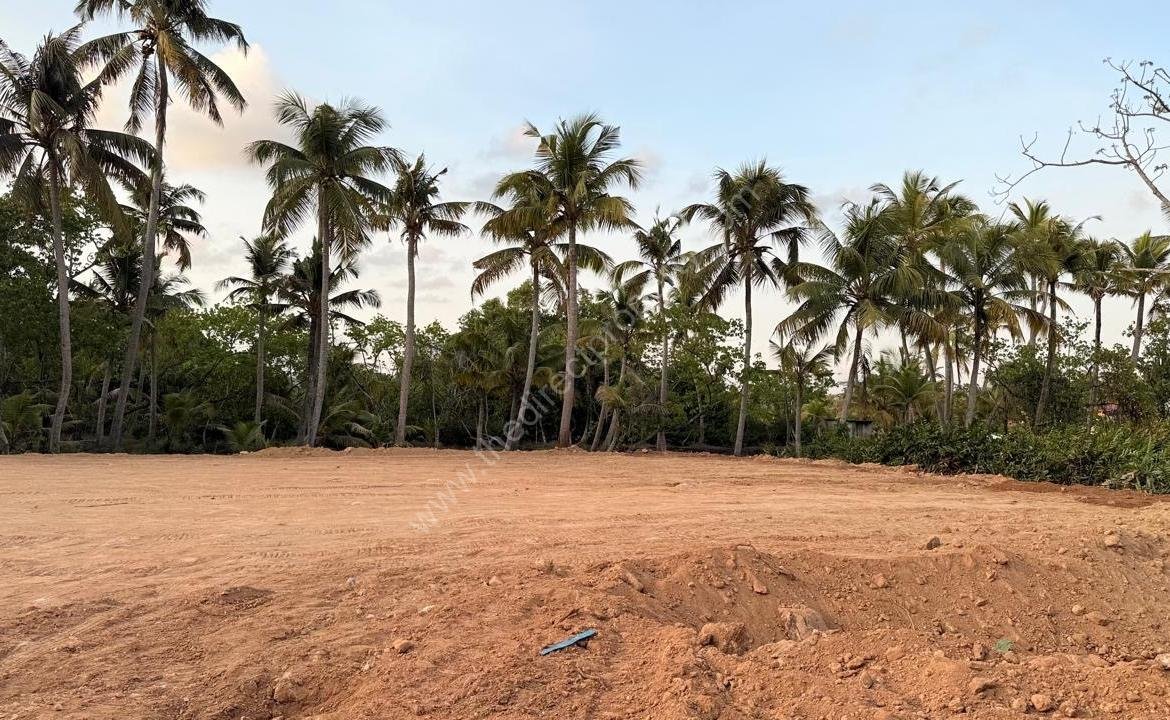 Residential land property in Moolampilly