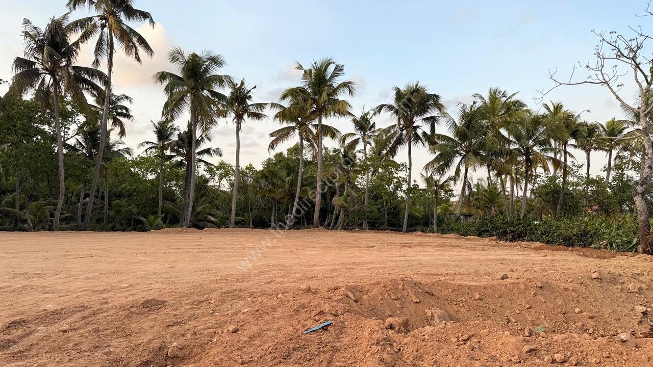 Residential land property in Moolampilly