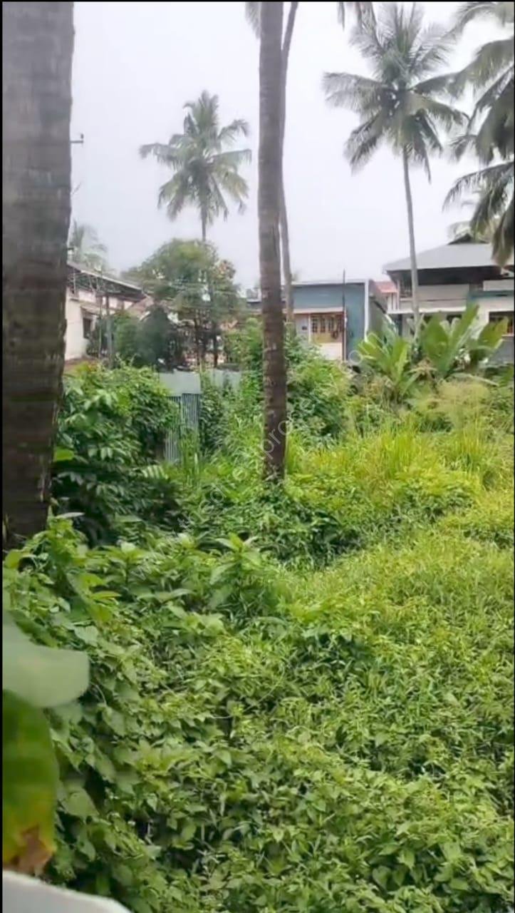 6 Commerical / Residential Land for sale in west fort Kanattukara Thrissur