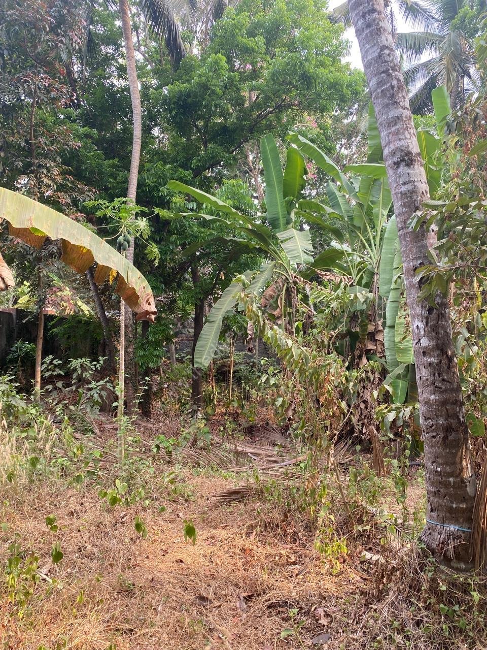 61f4a956-63fe-4780-a1a3-a4468724d354