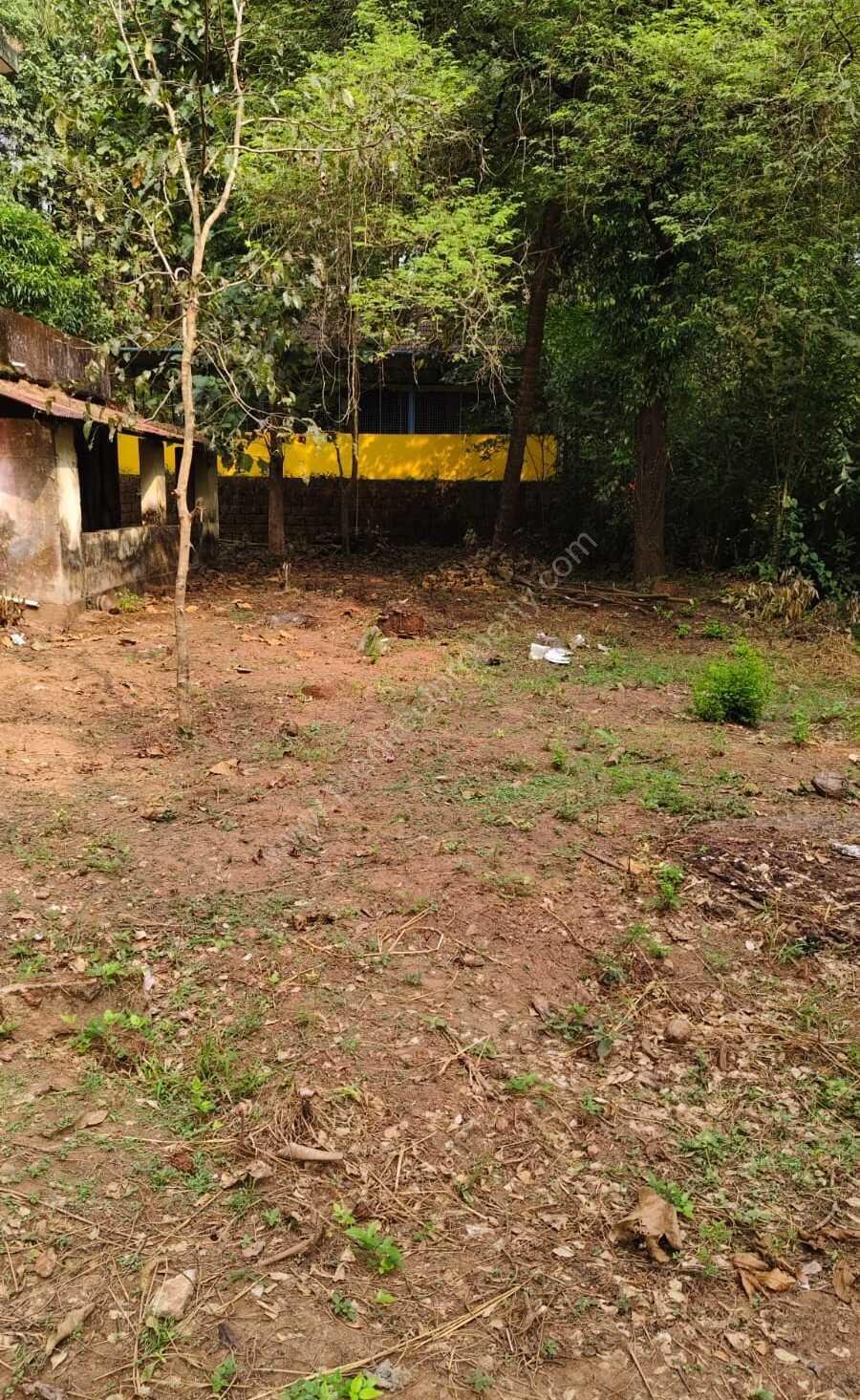 673577591O-1763281678191